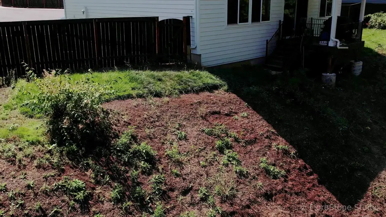 Ridgefield Heavy Slope to Usable Patio and Walkway