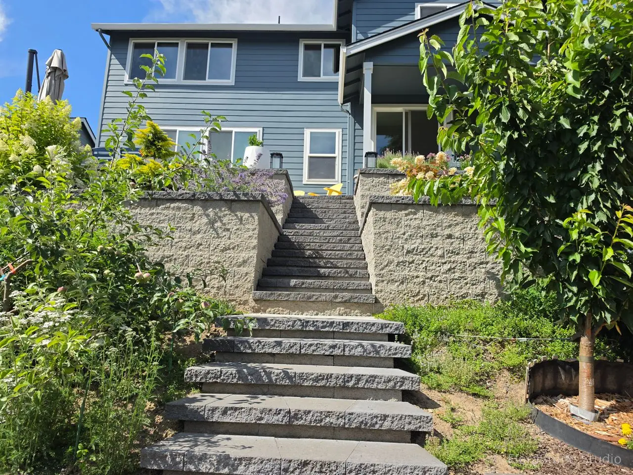 Ridgefield Retaining Wall, Paver Steps with Plants