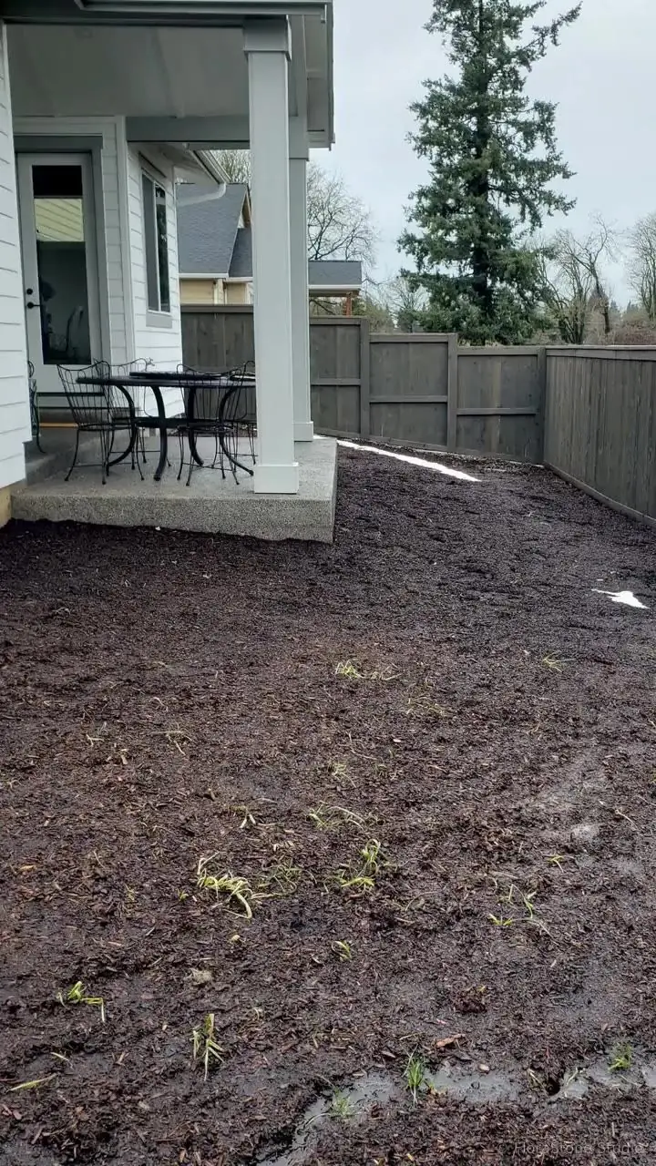 Ridgefield Backyard From Sloped to Serene